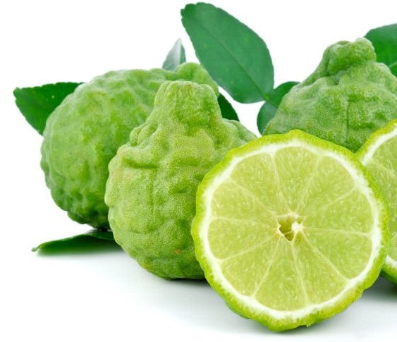 Negin Ceylon Black Tea with Earl Grey